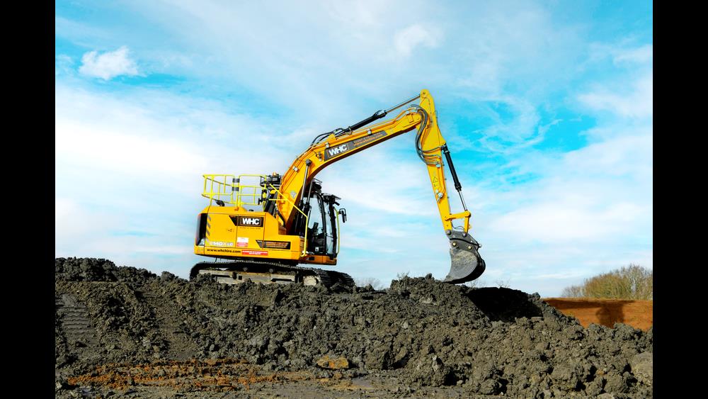 A perfect ten for WHC image